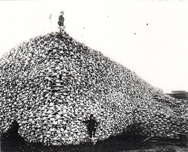 LMAO:Barack Obama: Eating More Steaks Contributes to Climate Change